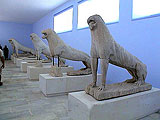 16 lions, Dilos